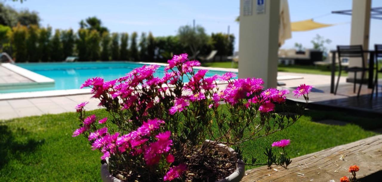 Etna Bike Holiday Zafferana Etnea Εξωτερικό φωτογραφία