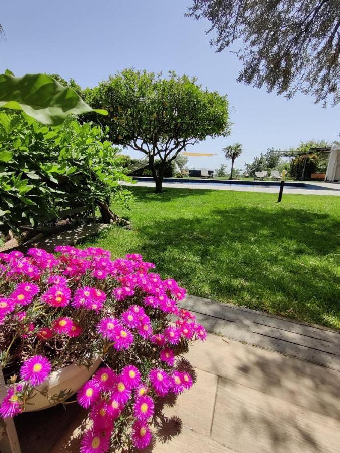 Etna Bike Holiday Zafferana Etnea Εξωτερικό φωτογραφία
