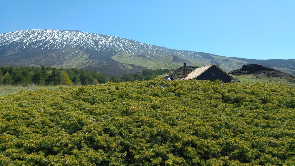 Etna Bike Holiday Zafferana Etnea Εξωτερικό φωτογραφία