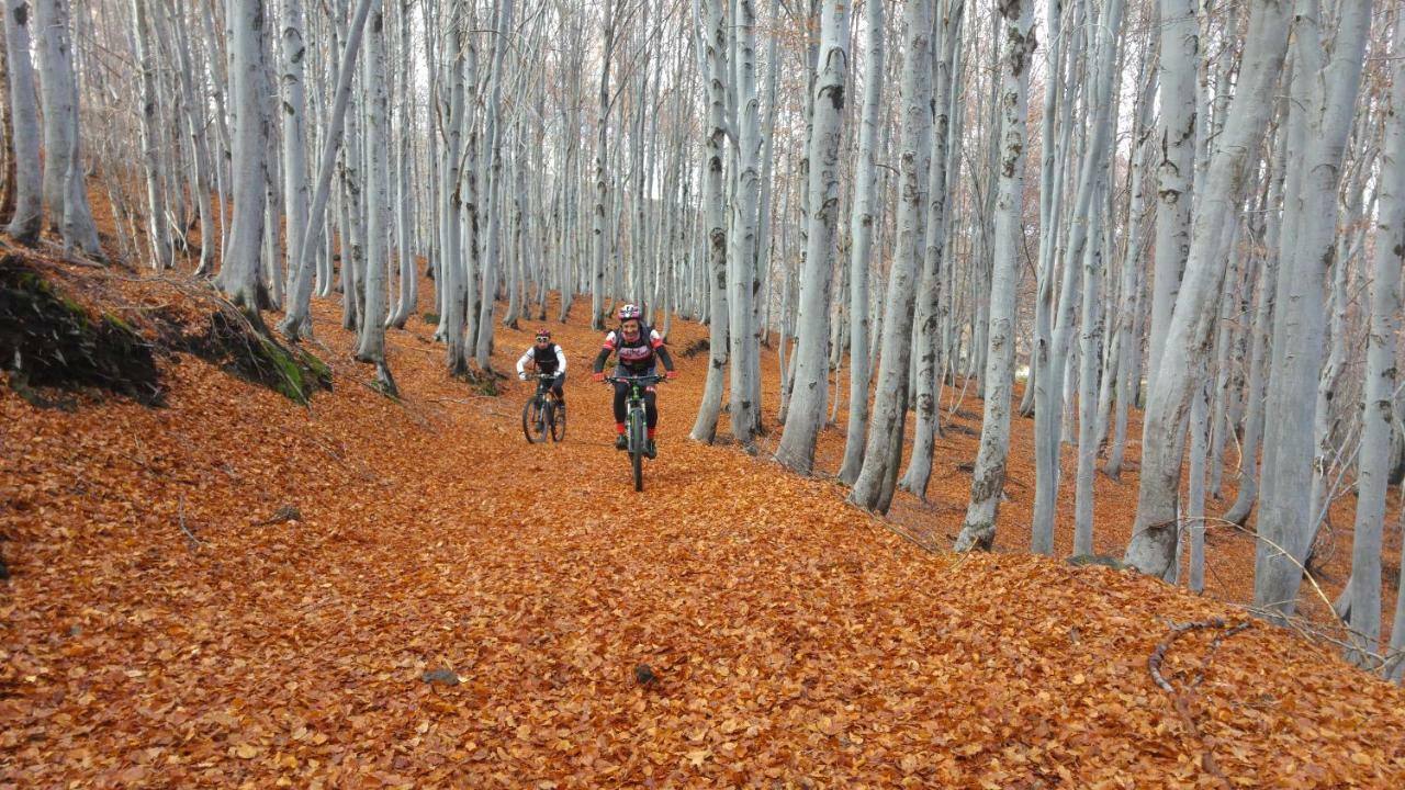 Etna Bike Holiday Zafferana Etnea Εξωτερικό φωτογραφία