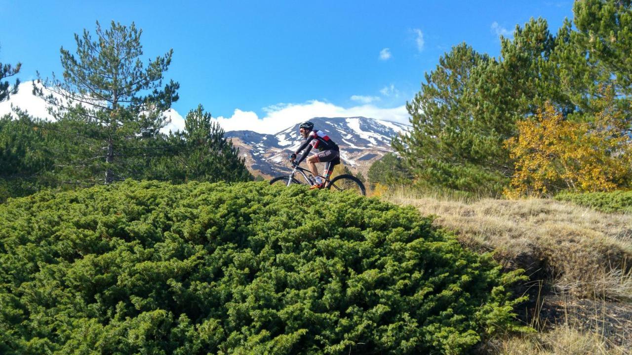 Etna Bike Holiday Zafferana Etnea Εξωτερικό φωτογραφία