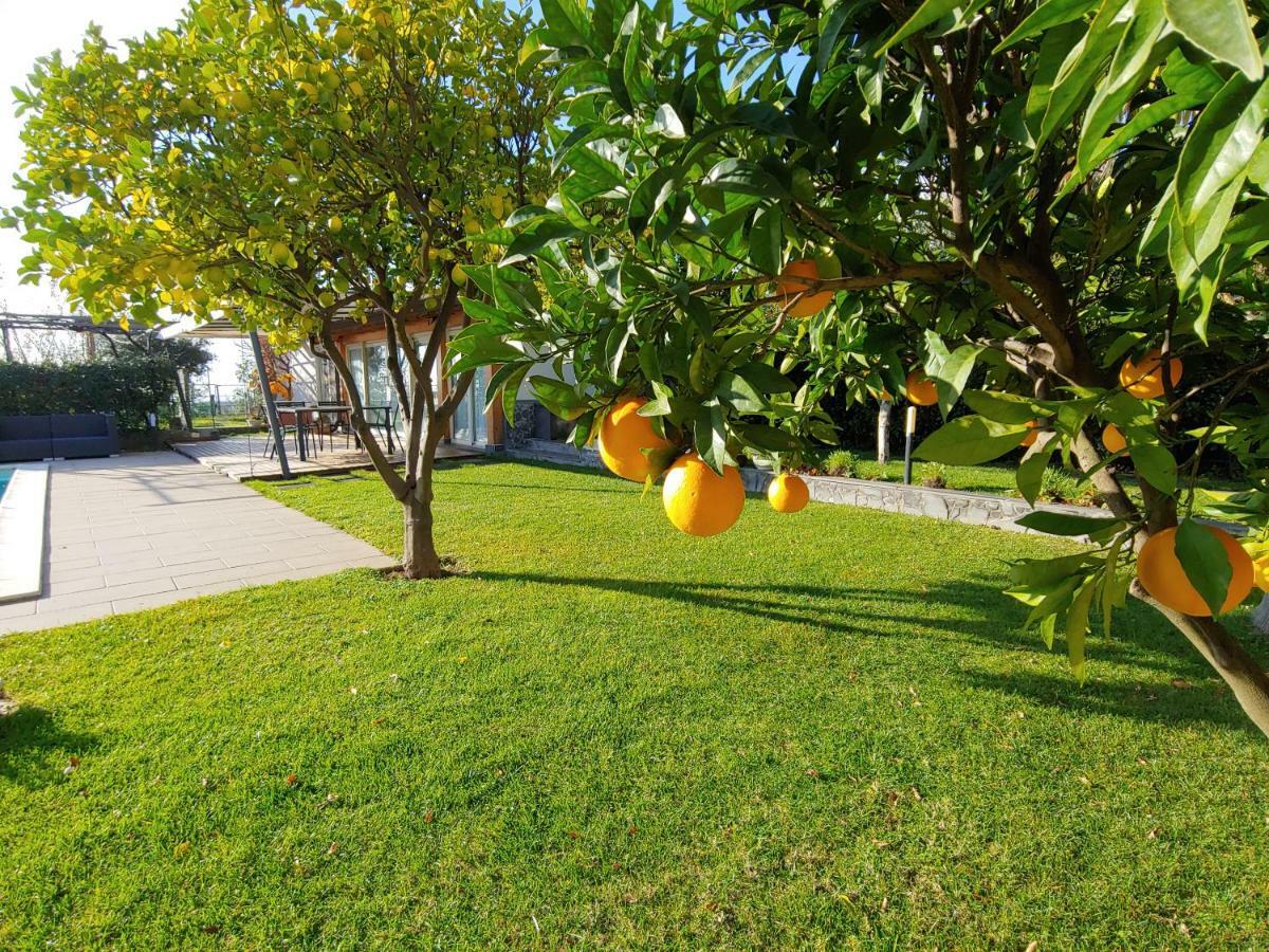 Etna Bike Holiday Zafferana Etnea Εξωτερικό φωτογραφία